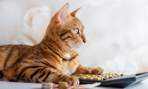 Get The Details Here! Cover Image