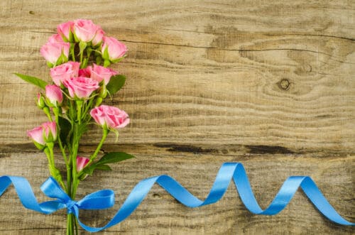 Pink Roses with blue ribbon