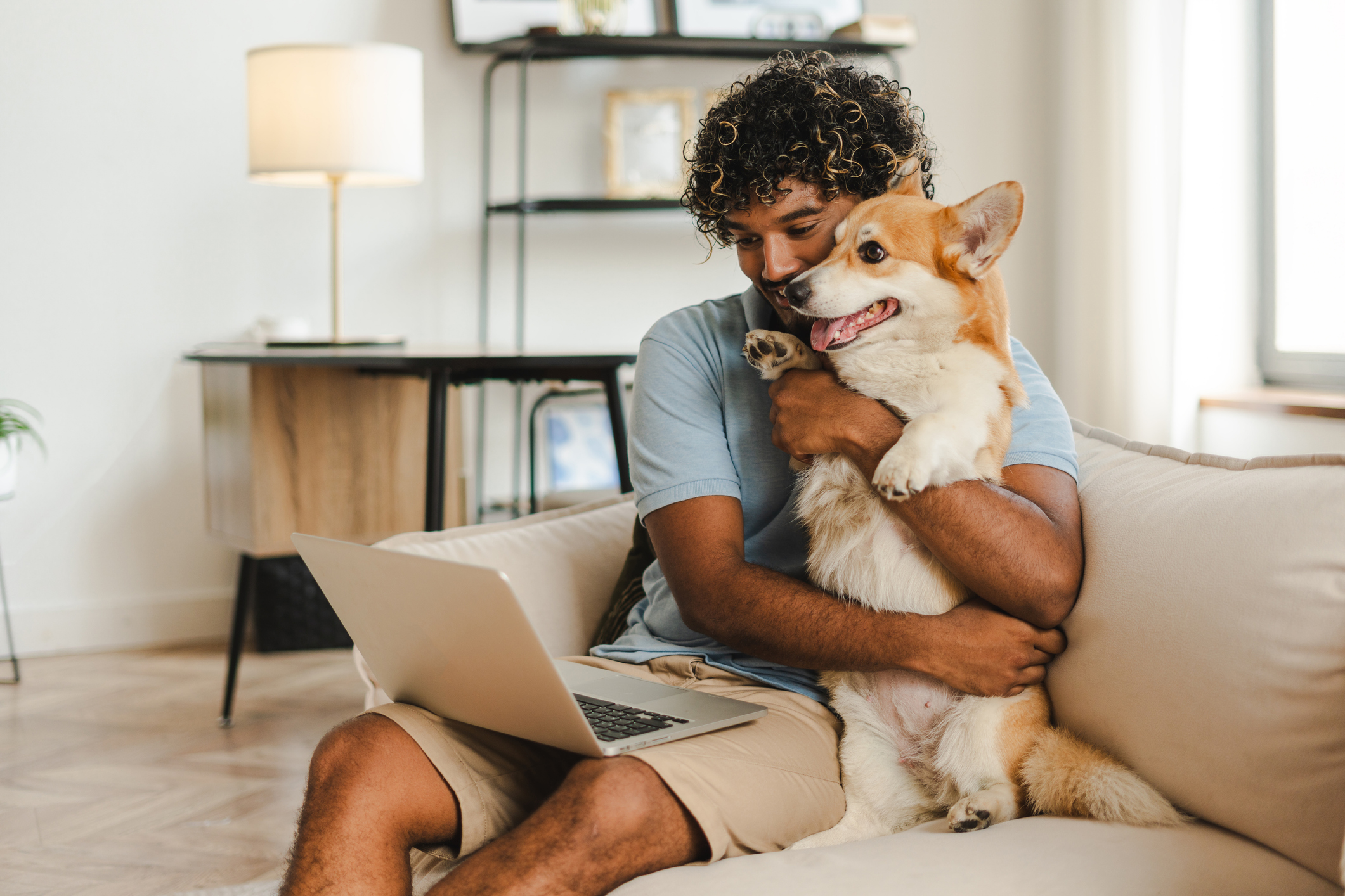 Attractive Indian man, freelancer working remotely from home and hugging his corgi dog